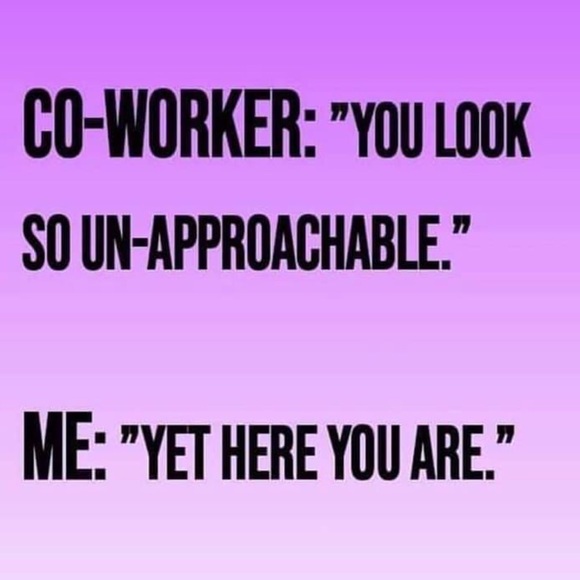 Meet your Posher, Katie - Picture 5 of 5